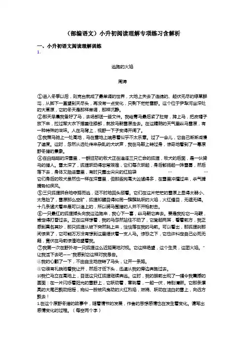 小升初(部编语文)小升初阅读理解专项练习含解析