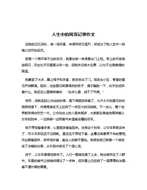 人生中的风雪记事作文