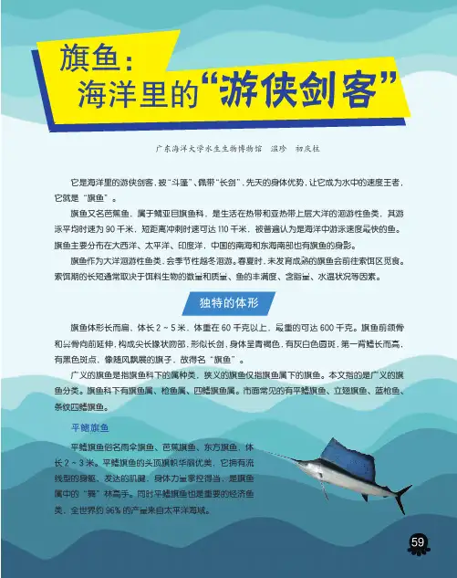 旗鱼：海洋里的“游侠剑客”