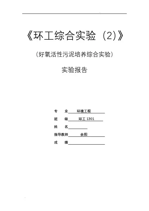 好氧活性污泥培养综合实验-东华大学环境学院大三实验报告