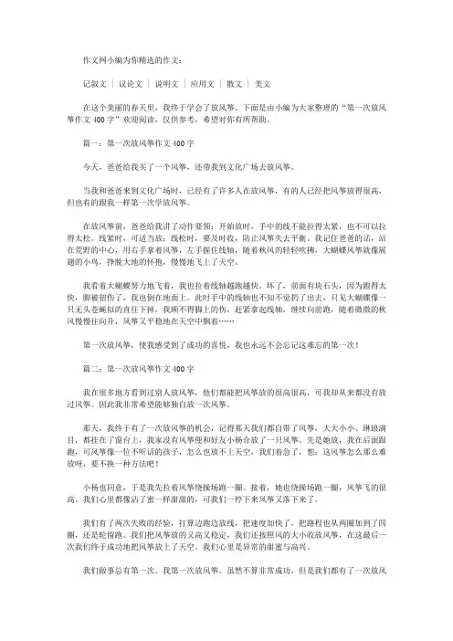 第一次放风筝作文400字