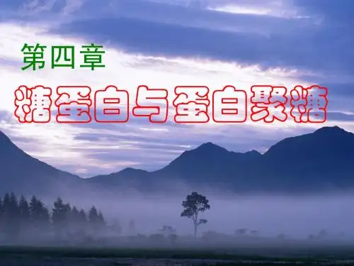 第04章 糖蛋白与蛋白聚糖