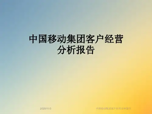 中国移动集团客户经营分析报告