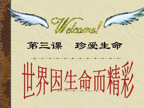 上课《世界因生命而精彩》PPT课件