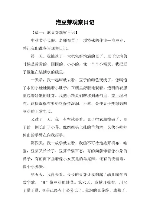 泡豆芽观察日记