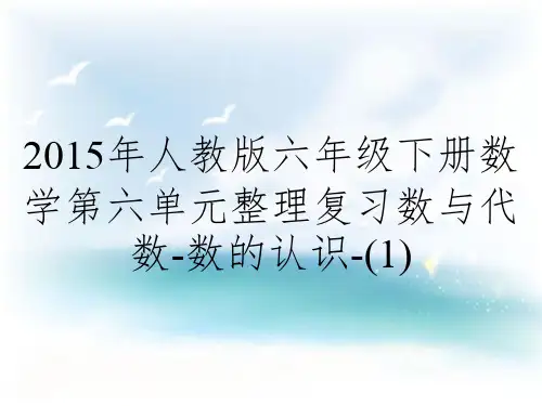 2015年人教版六年级下册数学第六单元整理复习数与代数-数的认识-(1)