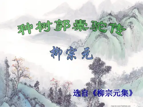 中国古代诗歌散文赏析第六单元文言知识总结