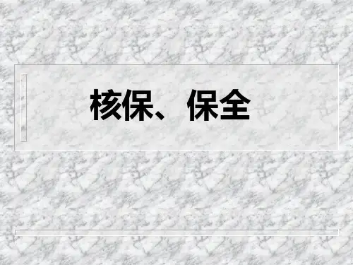 核保、保全PPT课件