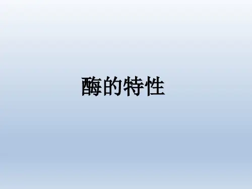 酶的特性说课ppt