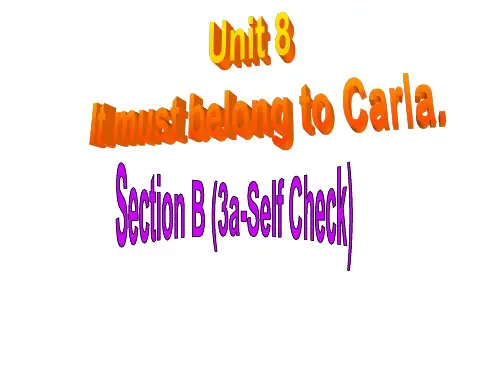 人教版九年级英语unit8itmustbelongtocarla.unit8sectionb(2a-se_f-check)-副本