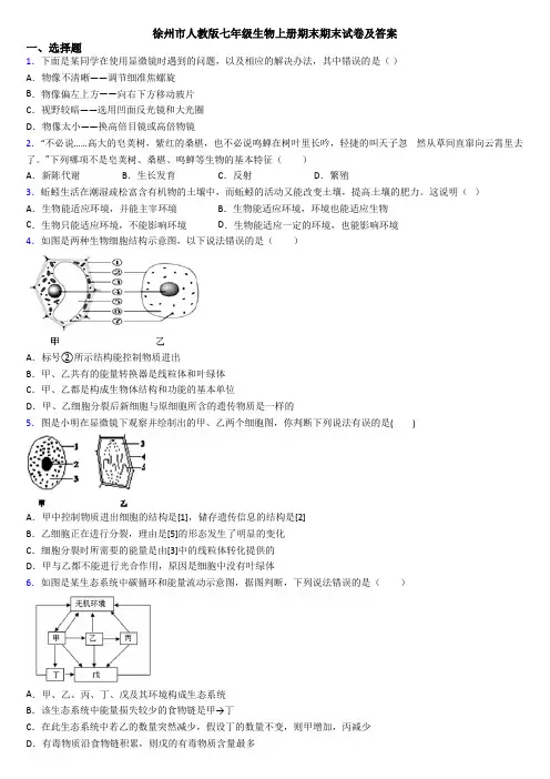 徐州市人教版七年级生物上册期末期末试卷及答案