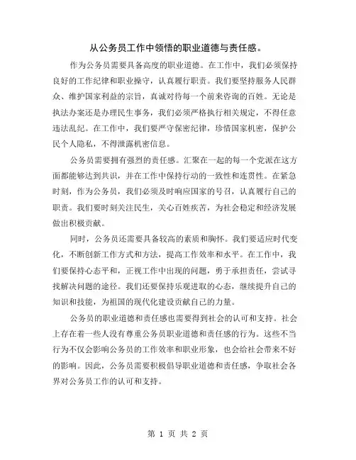 从公务员工作中领悟的职业道德与责任感