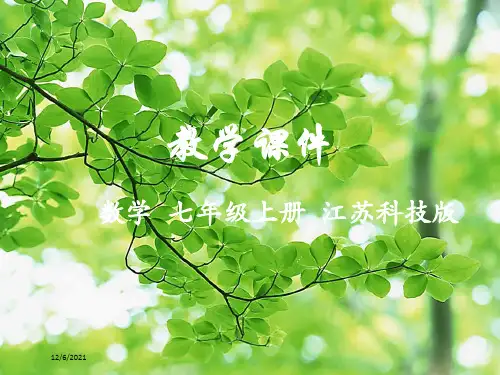 七年级数学上册 第6章 平面图形的认识(一)6.5 垂直教学课件 苏科苏科级上册数学课件