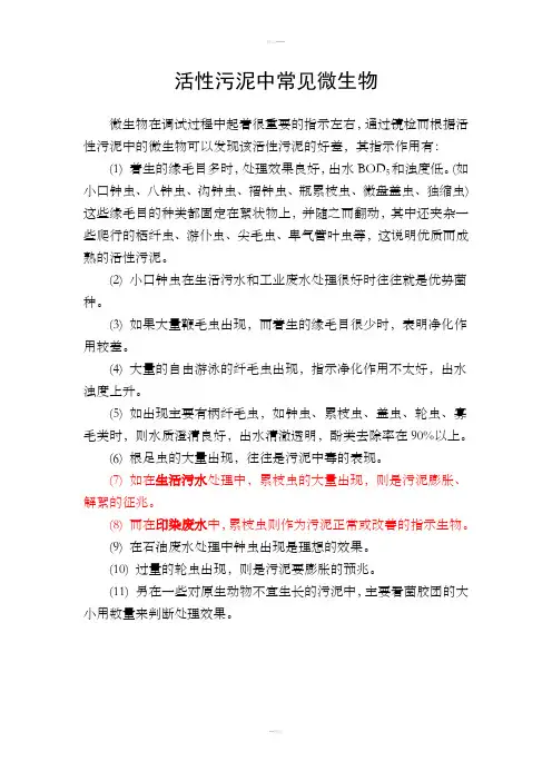 污水处理常见微生物高清晰照片及说明