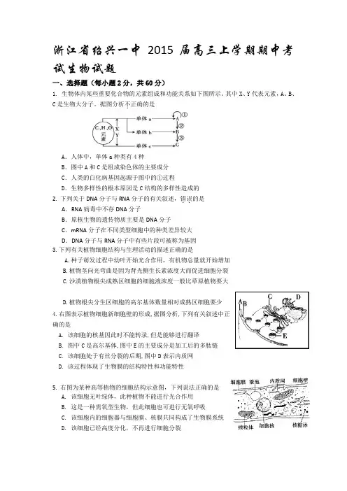 浙江省绍兴一中2015届高三上学期期中考试生物试题