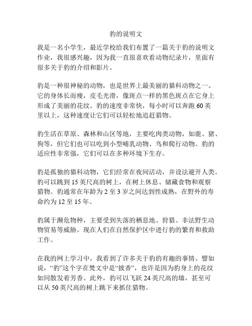 豹的说明文