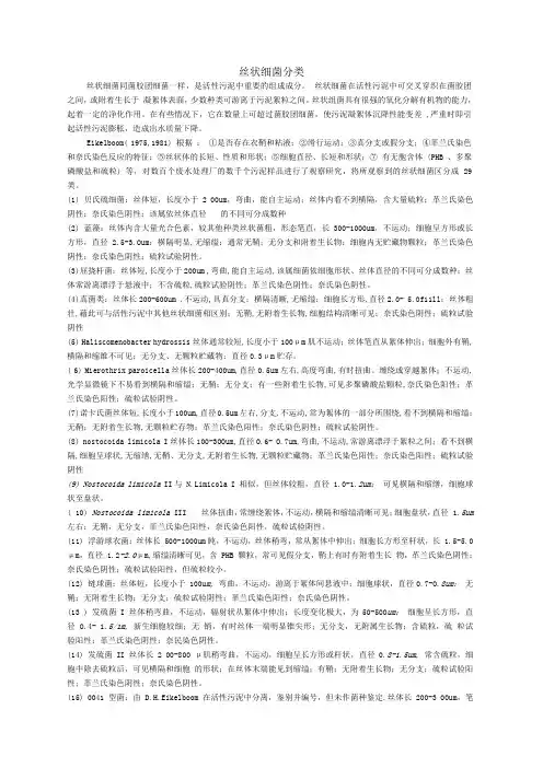 丝状细菌分类
