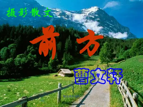 苏教版高中语文必修一 第3专题 《前方》参考课件2