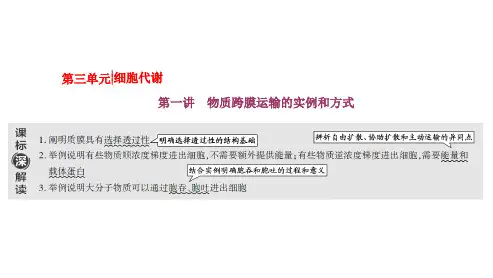 3.1.1物质跨膜运输的实例