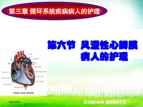 心脏瓣膜病病人的护理PPT课件