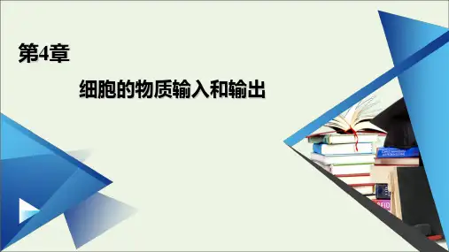 高中生物第4章细胞的物质输入和输出本章整合4课件人教版必修1