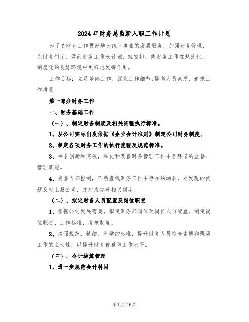 2024年财务总监新入职工作计划(二篇)