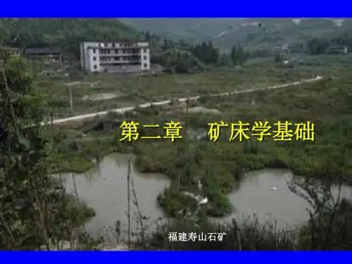 矿床学基础-精选文档