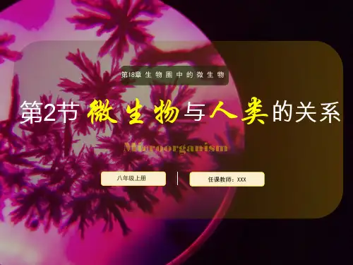 生物北师大版八年级上册第5单元第18章第2节微生物与人类的关系PPT课件