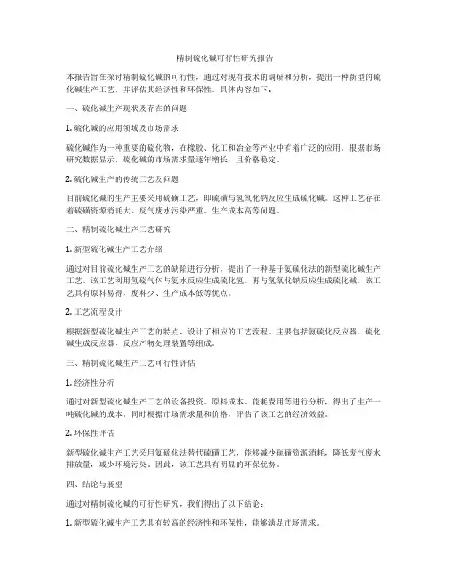 精制硫化碱可行性研究报告