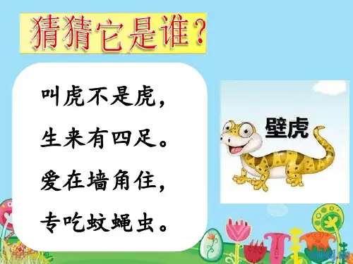 一年级语文下册ppt-小壁虎借尾巴-优秀课件-部编版