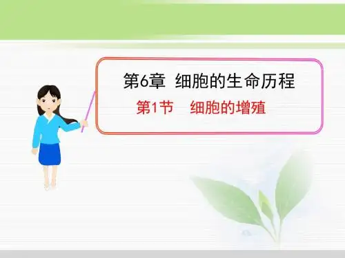 人教版高中生物必修1：6.1 细胞的增殖