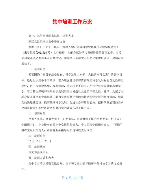 集中培训工作方案