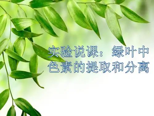 人教版高中生物必修1第五章捕获光能的色素和结构说课(课件共28张PPT)