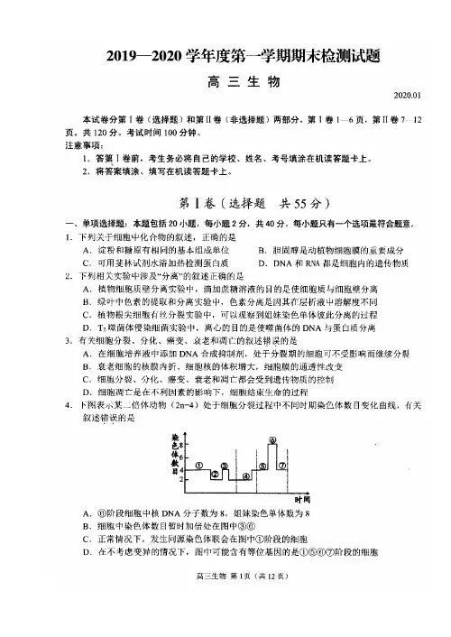 扬州市20192020 学年度第一学期高三生物期末调研考试