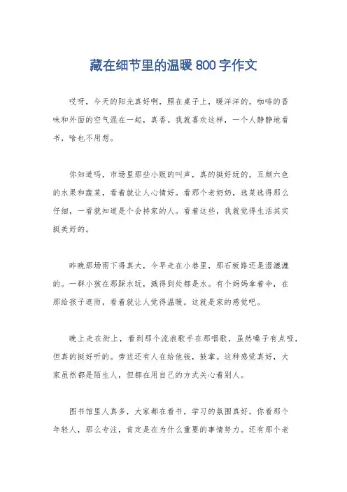 藏在细节里的温暖800字作文
