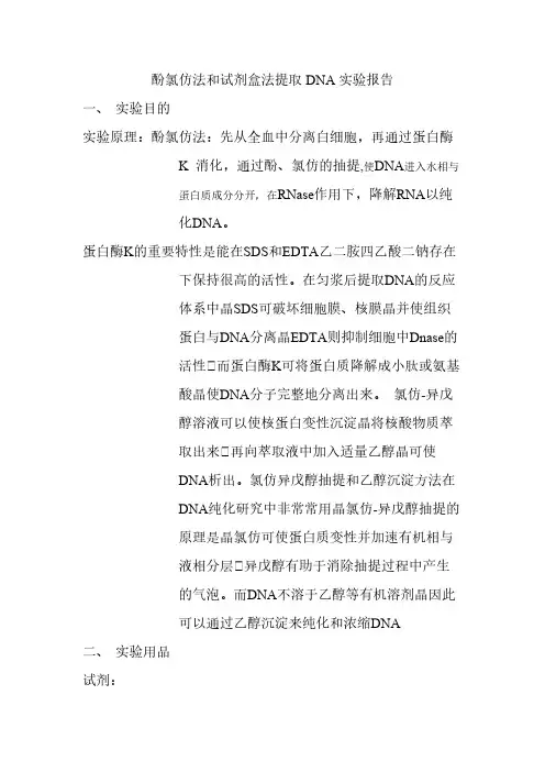 酚氯仿法提取DNA实验报告