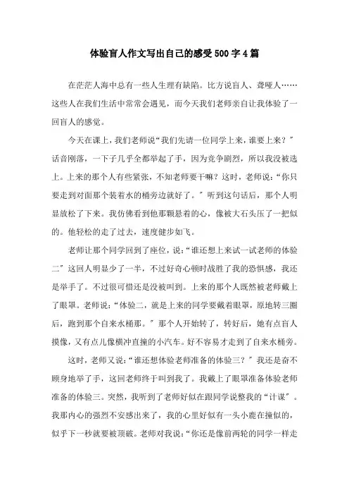 体验盲人作文写出自己的感受500字4篇精选