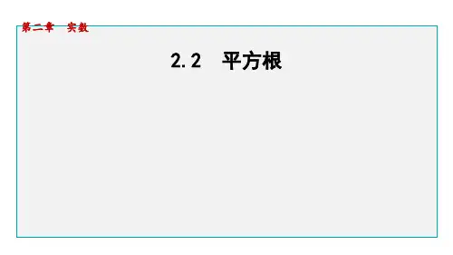 北师版八年级数学上册第二章 实数2 平方根