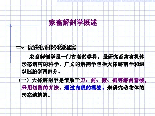 家畜解剖生理-绪论及第一章