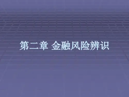 第二章金融风险辨识