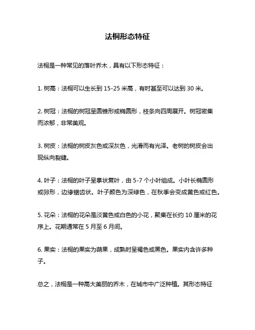 法桐形态特征