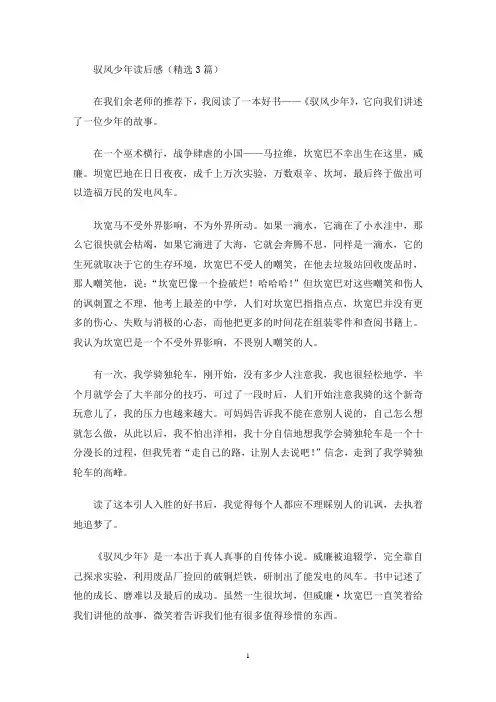驭风少年读后感(最新)