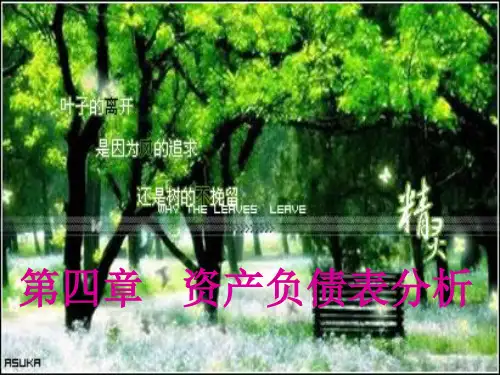 财务分析四资产负债表分析