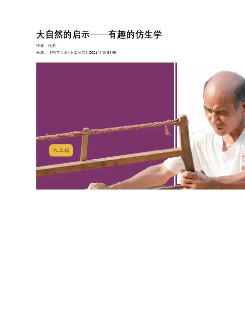 大自然的启示——有趣的仿生学