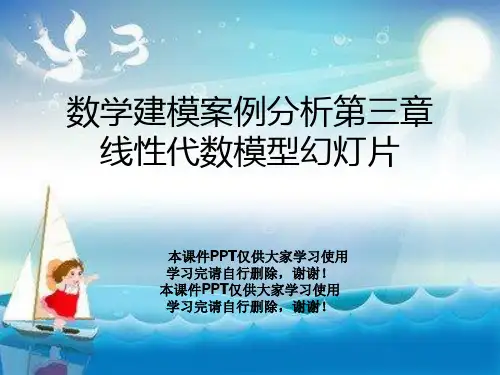 数学建模案例分析第三章线性代数模型幻灯片