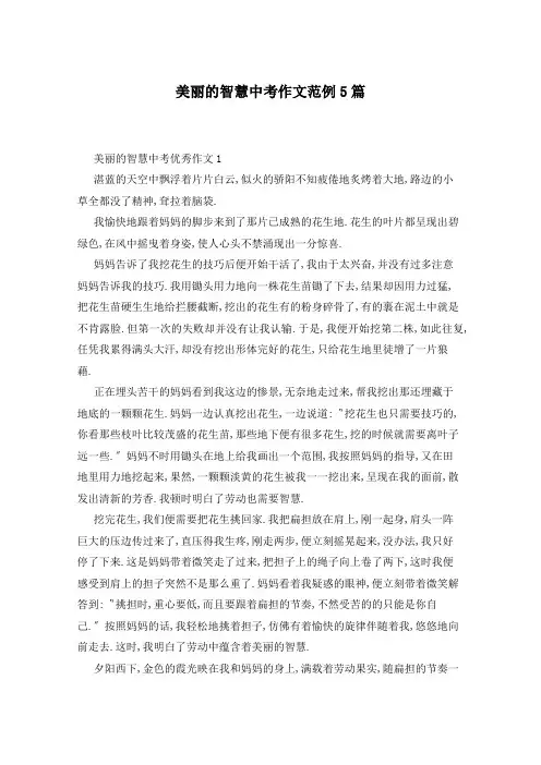 美丽的智慧中考作文范例5篇