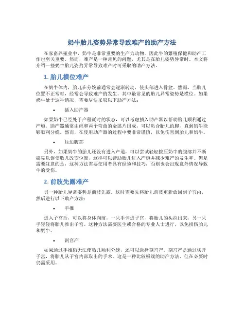 奶牛胎儿姿势异常导致难产的助产方法