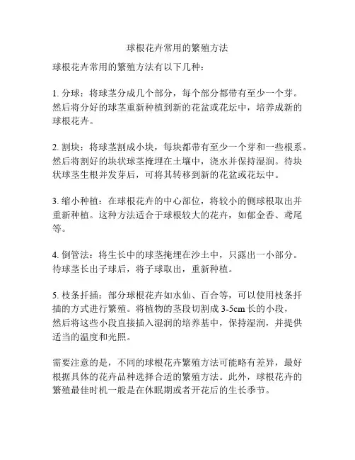 球根花卉常用的繁殖方法