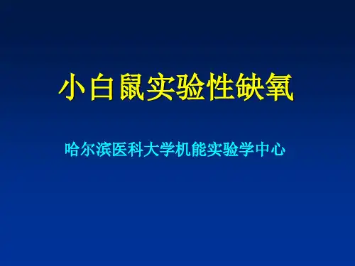 小白鼠实验性缺氧