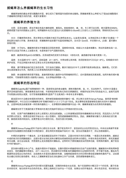捕蝇草怎么养捕蝇草的生长习性